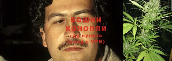 амф Мегион