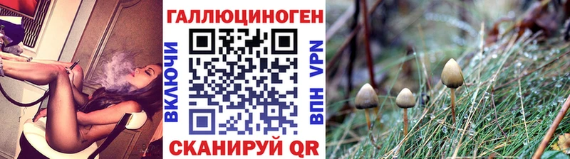 наркота  Дзержинск  Галлюциногенные грибы мухоморы 
